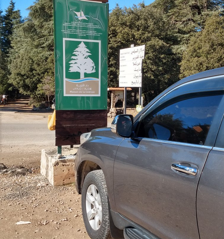 Cèdre Gouraud Forest-Azrou必去景点