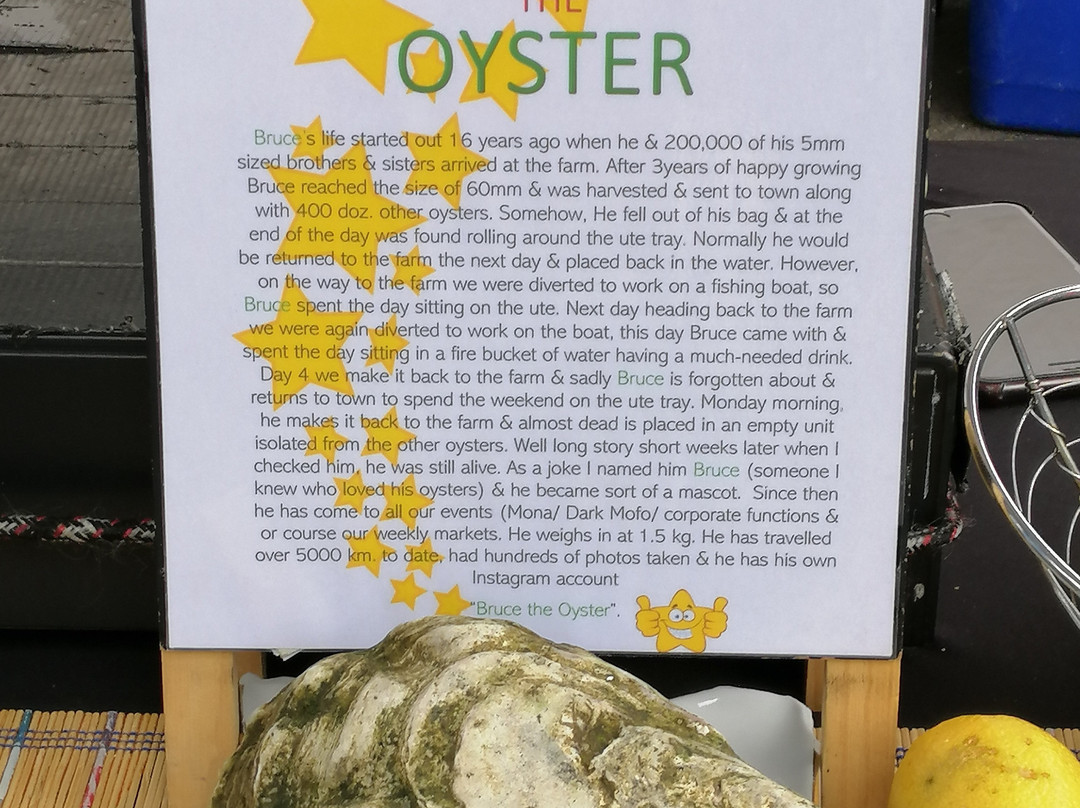 朗塞斯顿社区农贸市场-朗塞斯顿必去景点