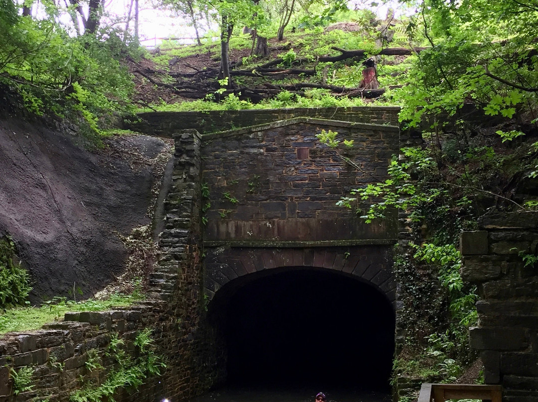 Cocoa Kayak Rentals of Hershey景点图片