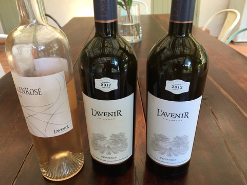 Go Cape Tours-斯泰伦博斯必去景点