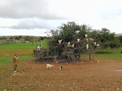 21tour of Morocco-马拉喀什必去景点