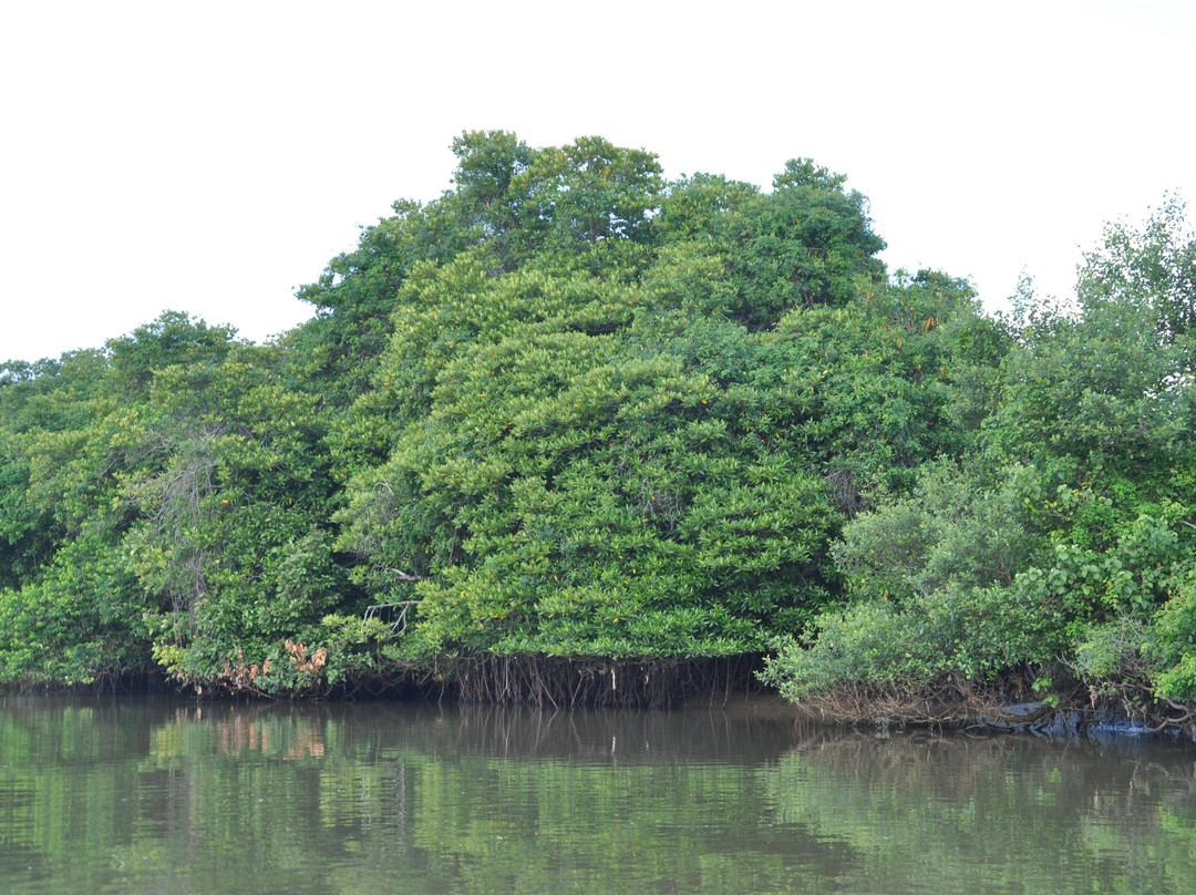 Road Rouch Tours Your Gateway to Sri Lankan Adventures-科伦坡必去景点