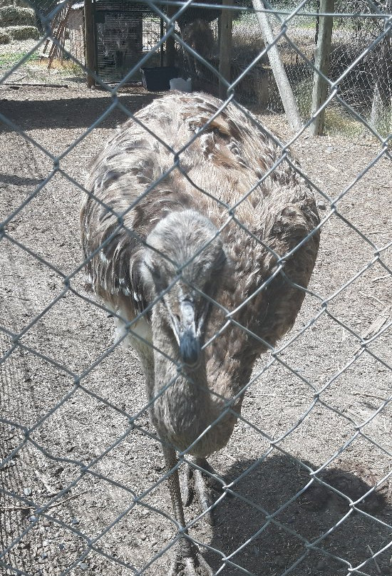 Bubalco-Allen必去景点