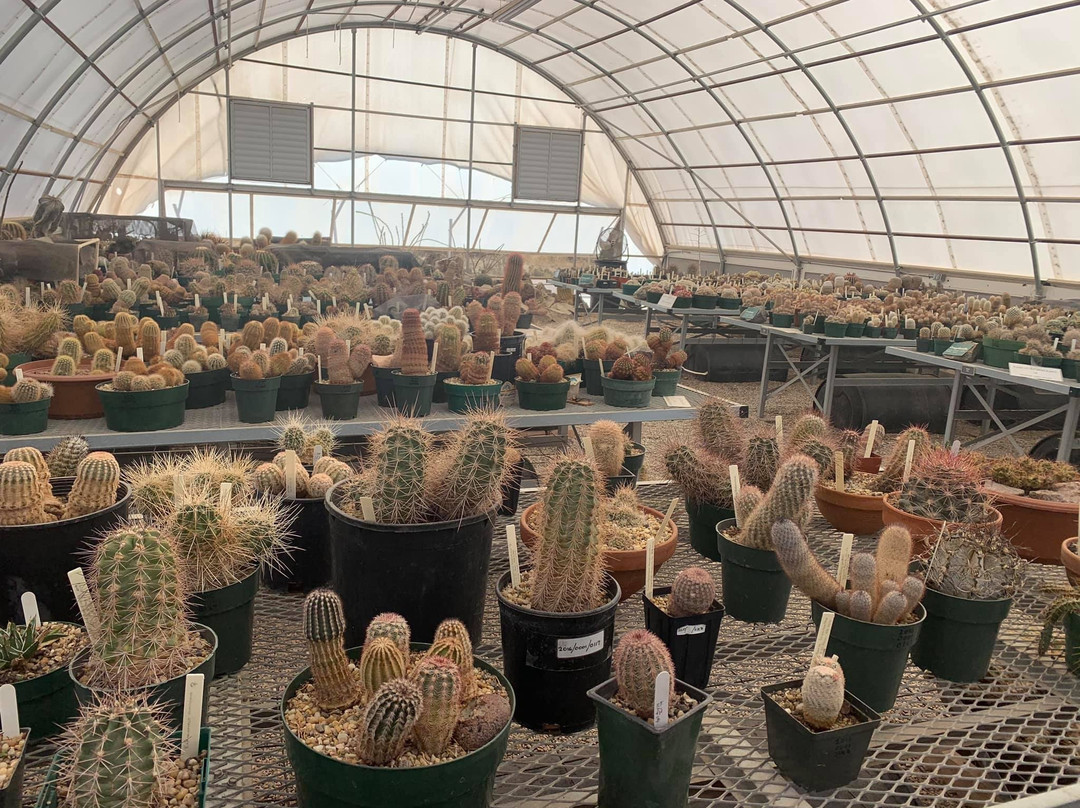 Chihuahuan Desert Nature Center & Botanical Gardens景点图片