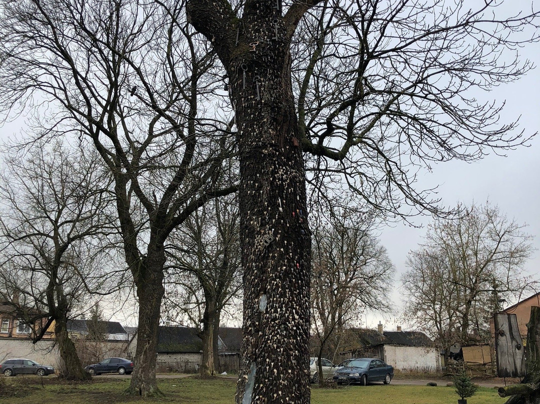 Key tree - Raktu uosis-Panevezys必去景点