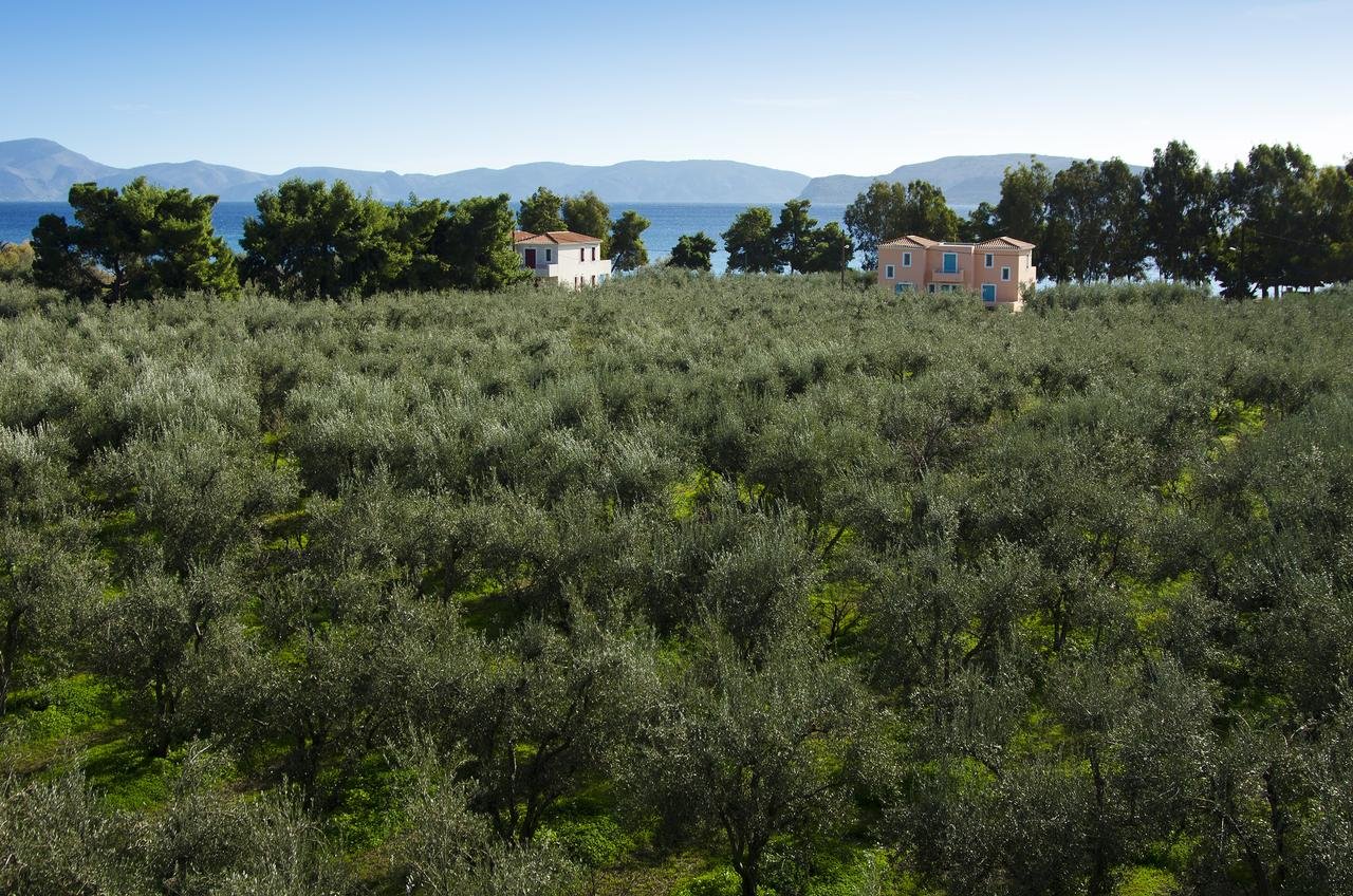 Makis Inn Resort-官方