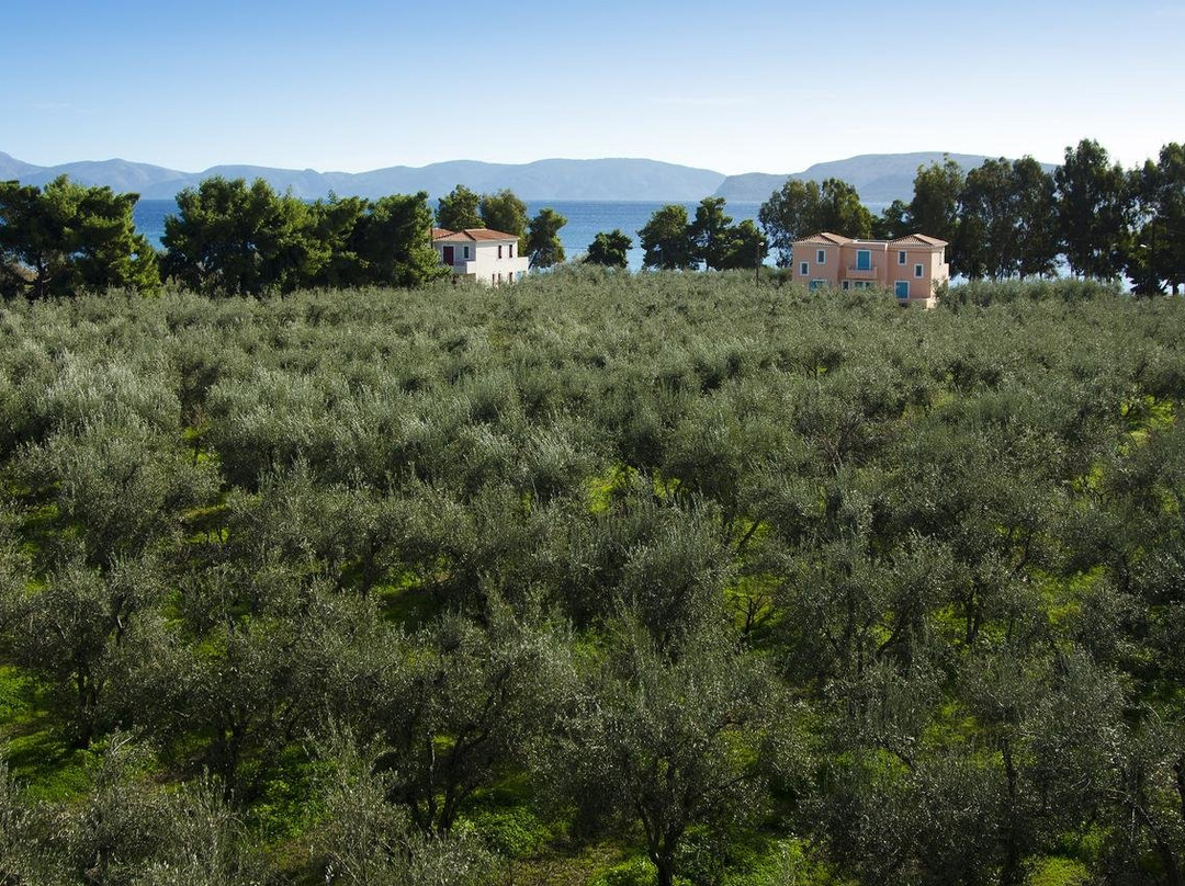 Makis Inn Resort主图