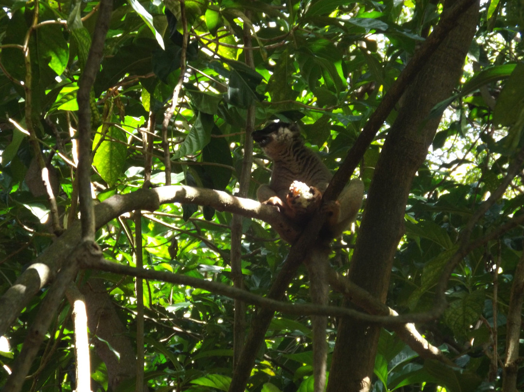 Nosy Tanikely-Nosy Tanihely必去景点