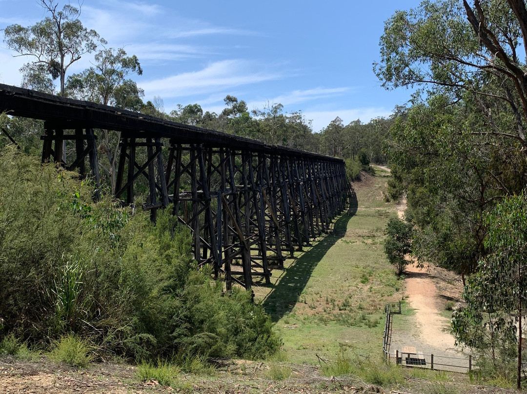 Snowy River Cycling Rail Trail Tours景点图片