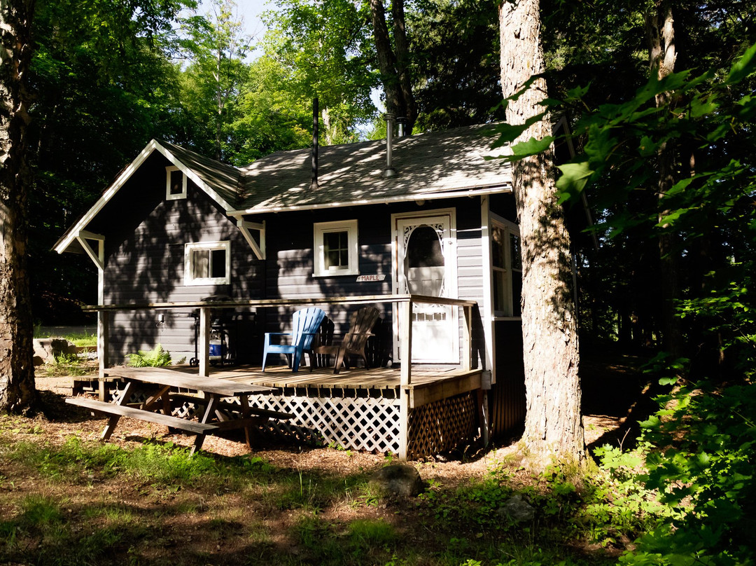 Walker Lake Resort主图