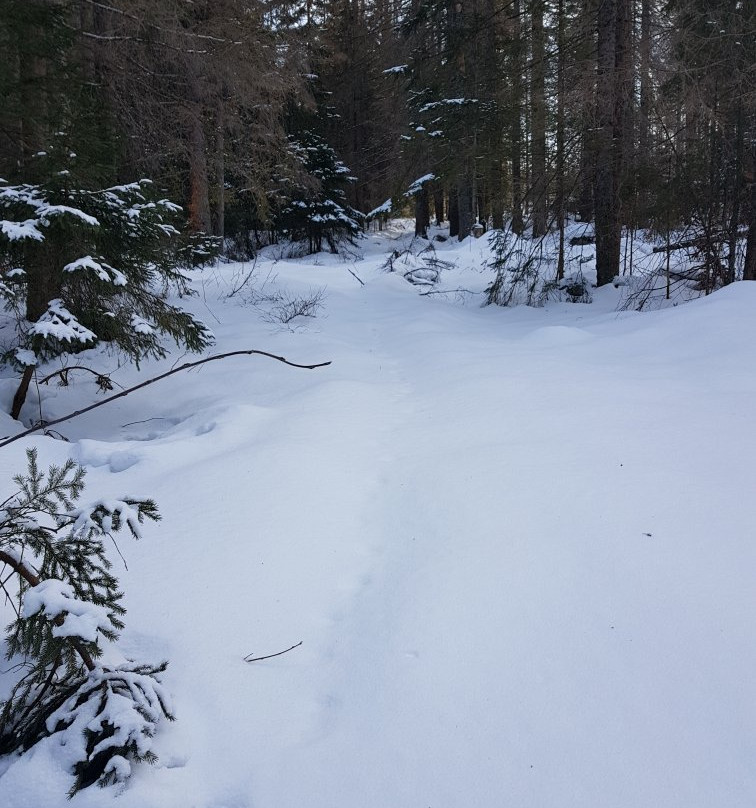 Wielki Kopieniec-扎科帕内必去景点