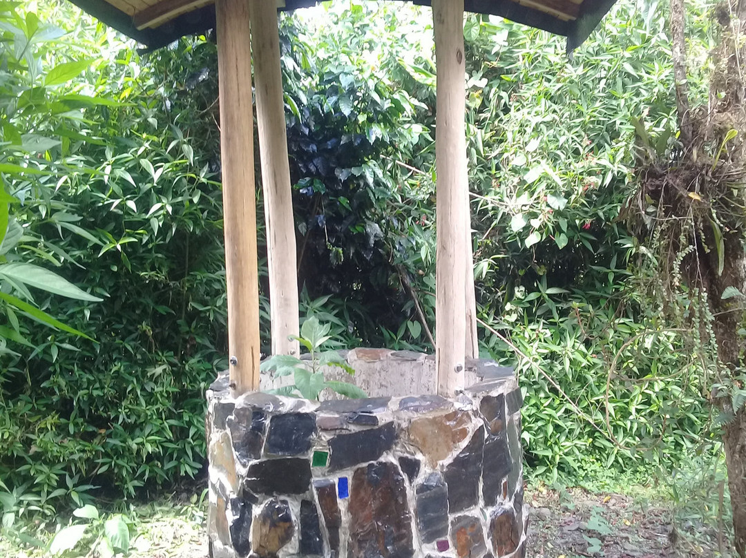 Laberinto de Bambu-明多必去景点