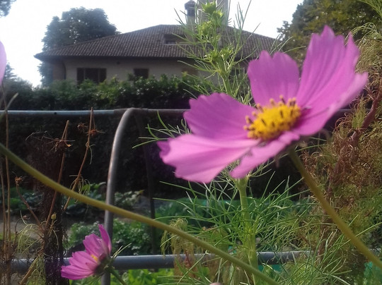 Barate旅游攻略图片