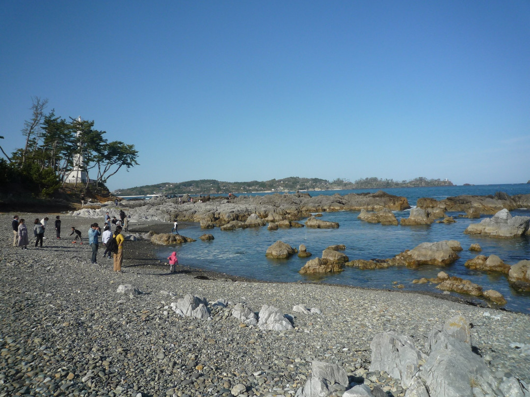 Iwaisaki Limestone Fossil景点图片