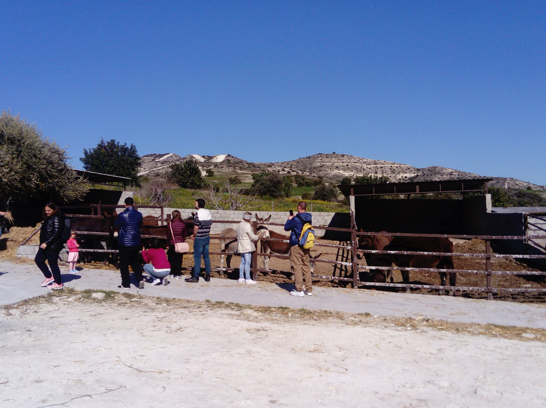 Larnaka Tourism Board - Thematic Tours & Routes-拉纳加必去景点