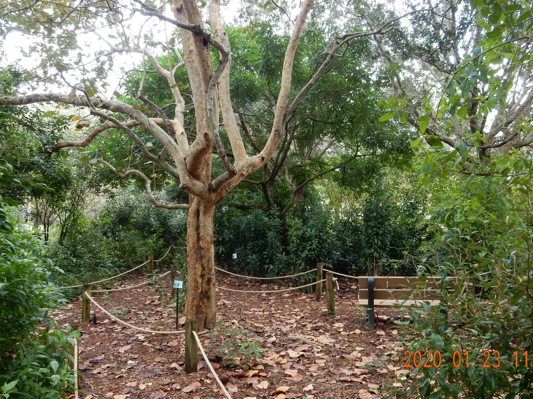 Robert J Huckshorn Arboretum-朱庇特必去景点