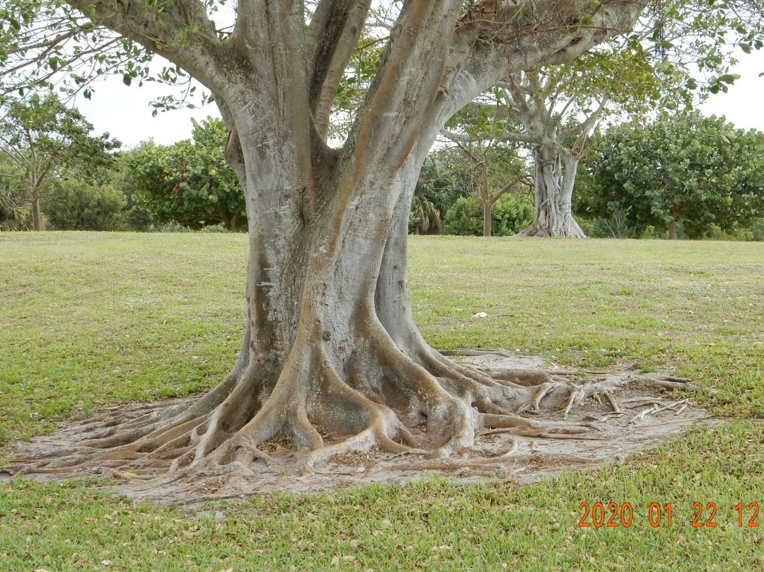 The Loxahatchee River Center-朱庇特必去景点
