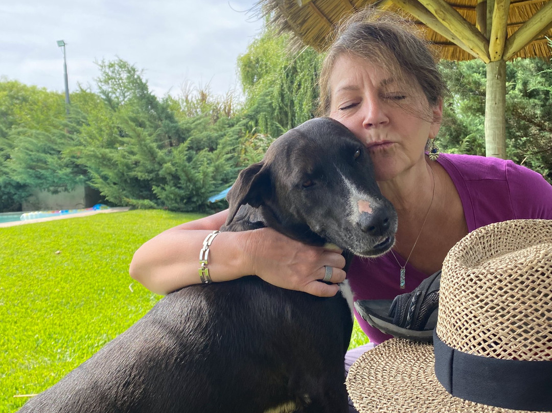 La Casa de los Limoneros主图