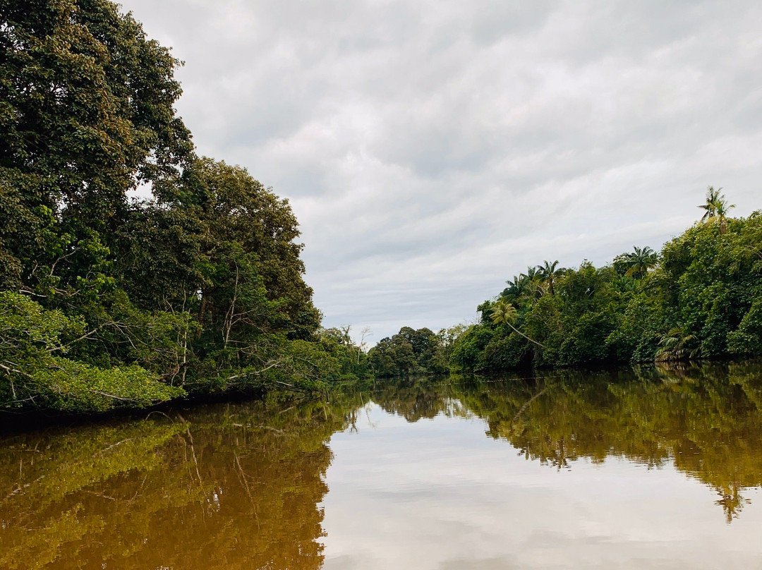 Borneo Authentic Adventure-兵南邦必去景点