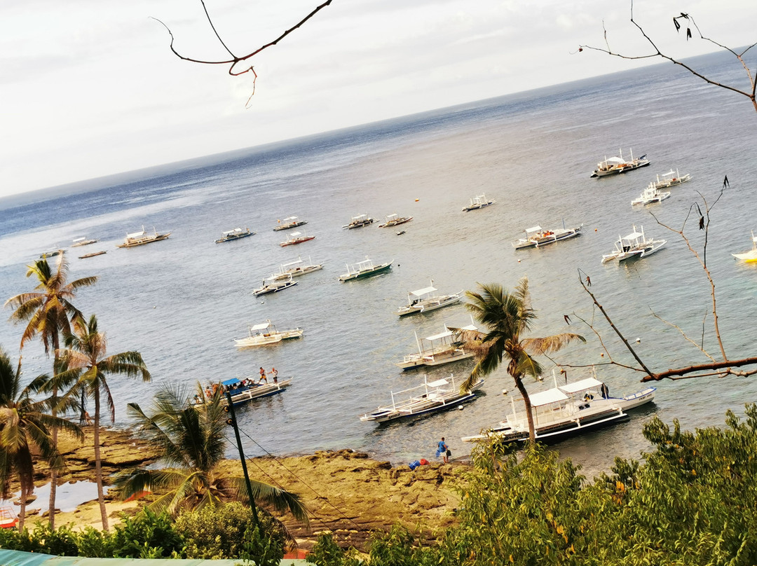 Apo Island View Deck景点图片