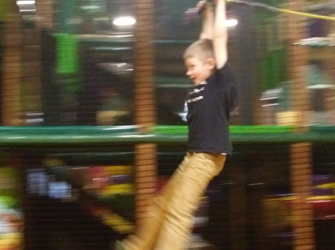 Safari Nation-戈尔兹伯勒必去景点