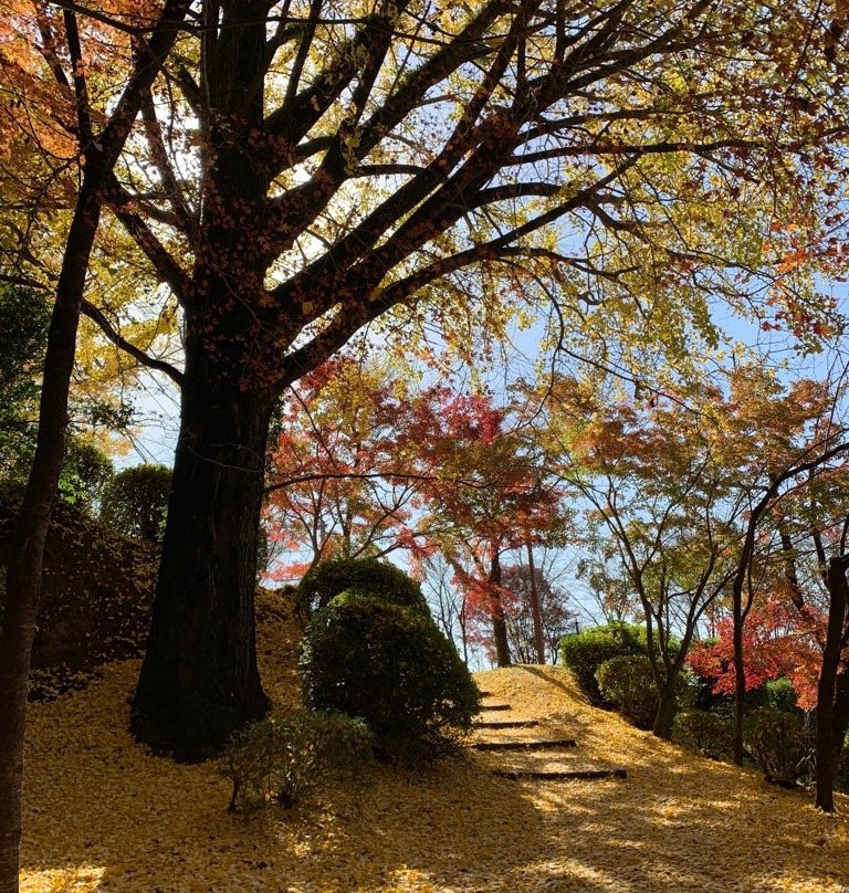 Kikuchi Park景点图片