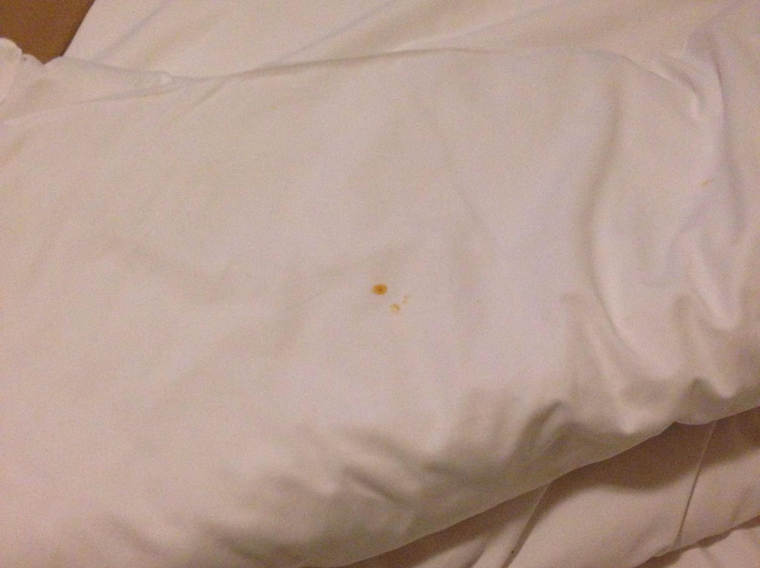 Hotel Majdan主图