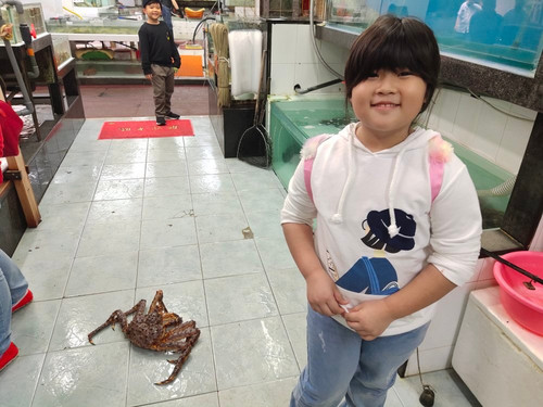 鲤鱼门鱼市-香港必去景点