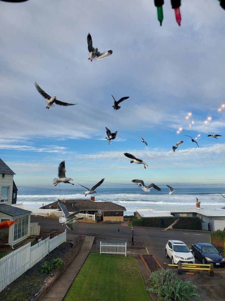 Breyhouse Ocean View Bed and Breakfast Inn-官方