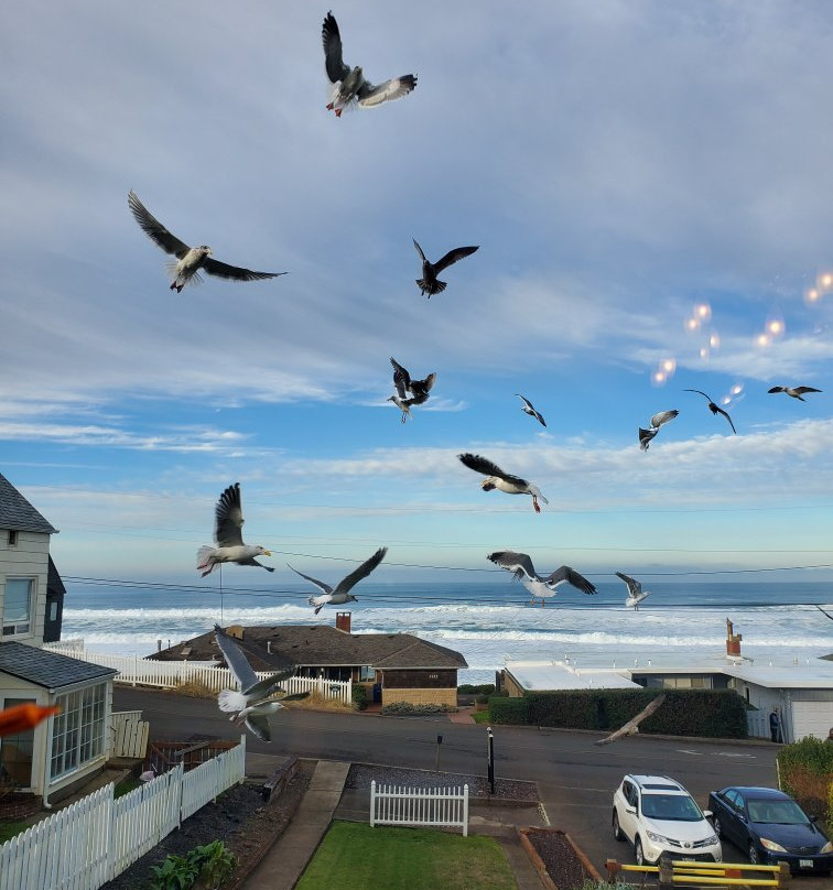 Breyhouse Ocean View Bed and Breakfast Inn主图