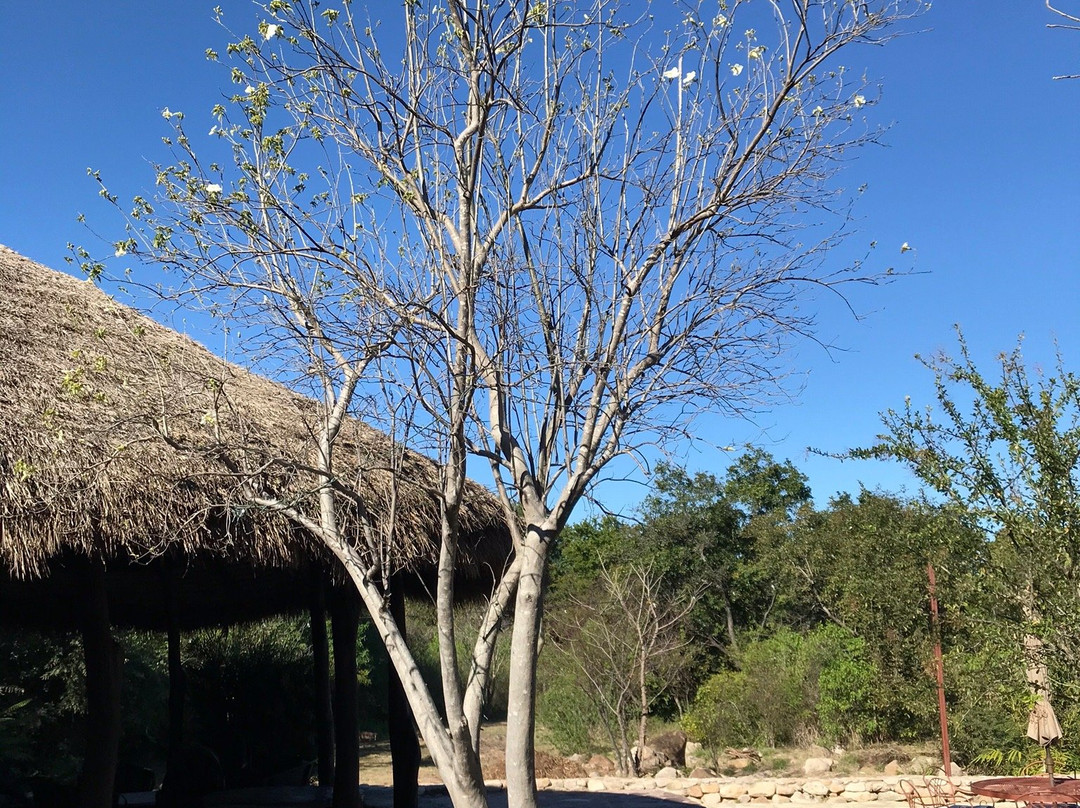El Pedregal - Hotel en la Naturaleza主图