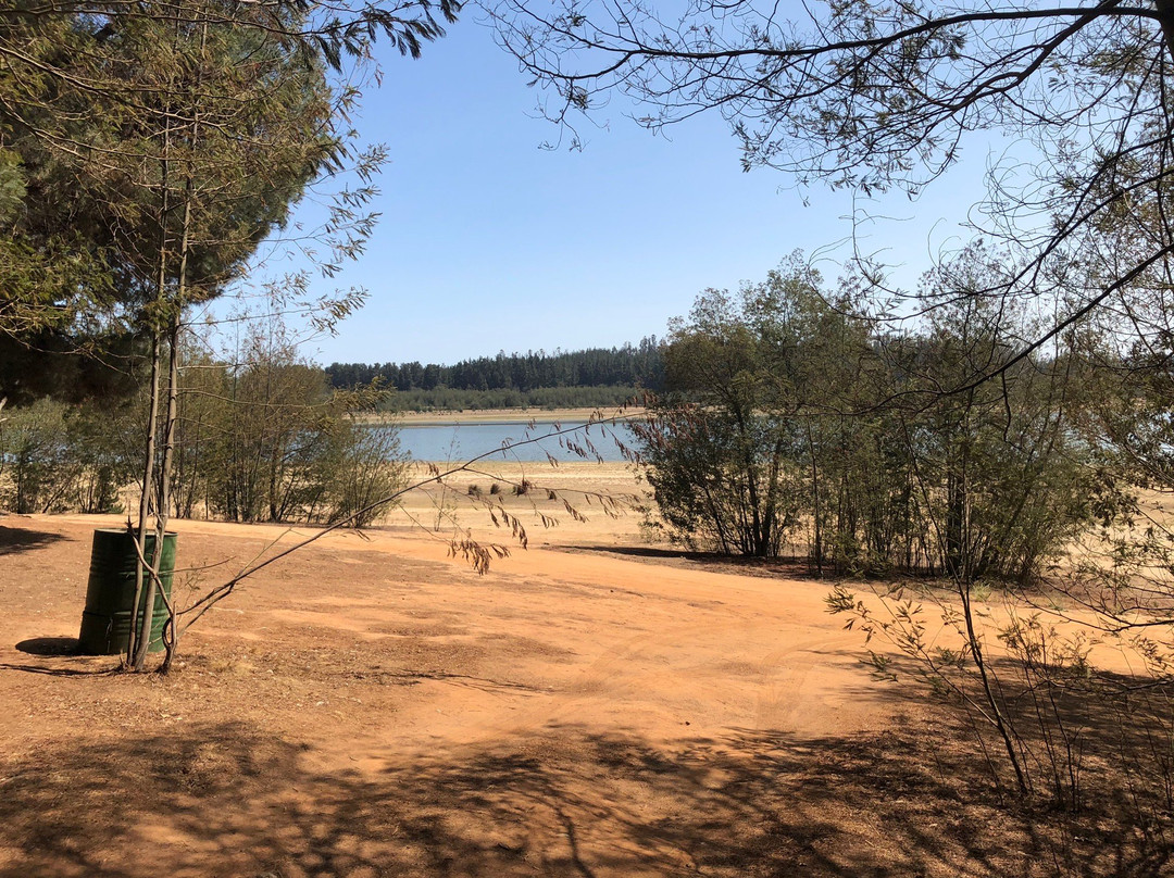 Reserva Nacional Lago Penuelas景点图片