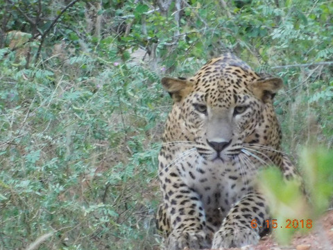 Sharaine travels & tours-Ja Ela必去景点