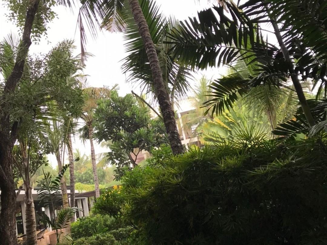 椰子套房酒店主图