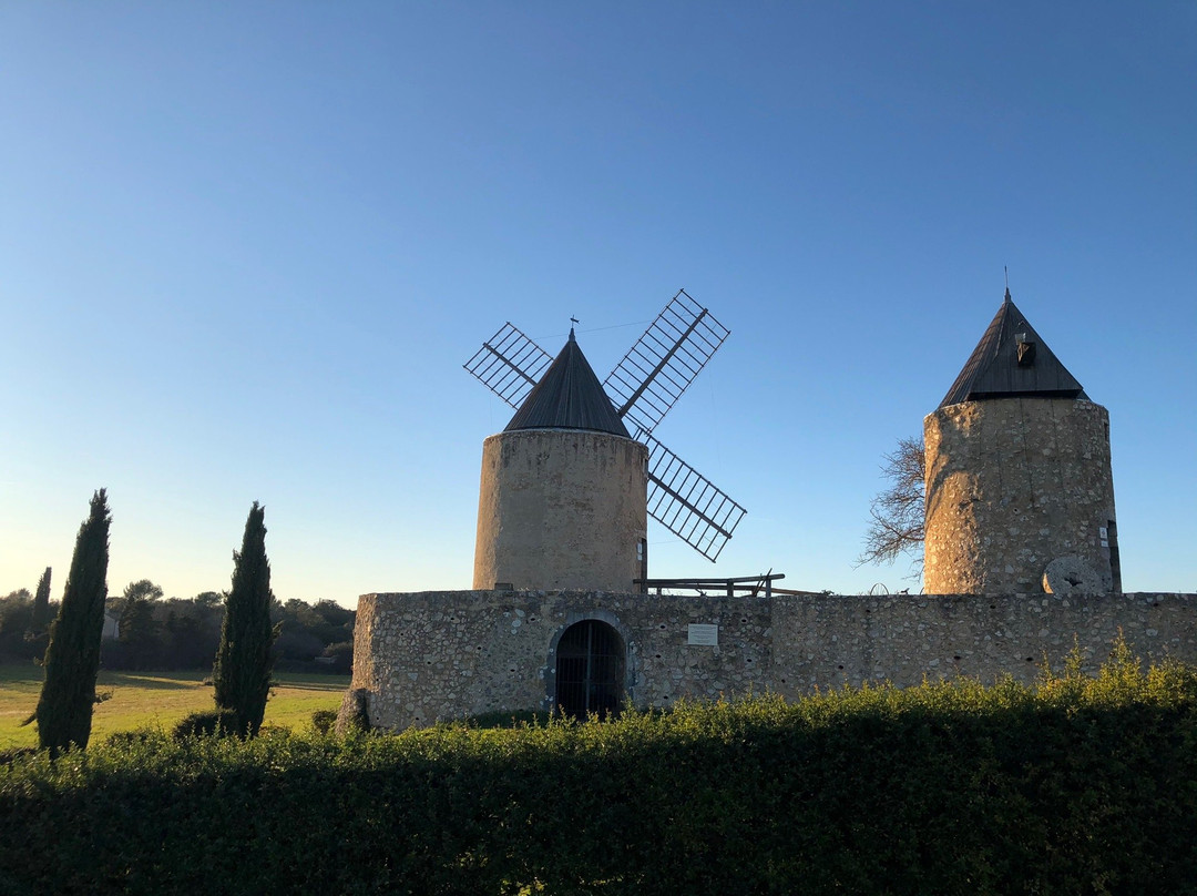 Moulin a Vent景点图片