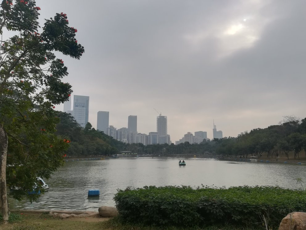 深圳莲花山公园景点图片