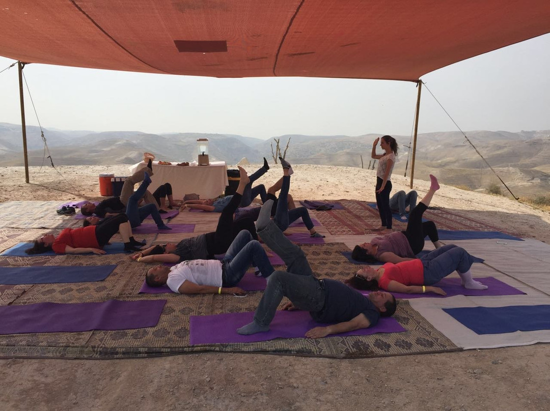 Cnaan Tours Desert Experience景点图片