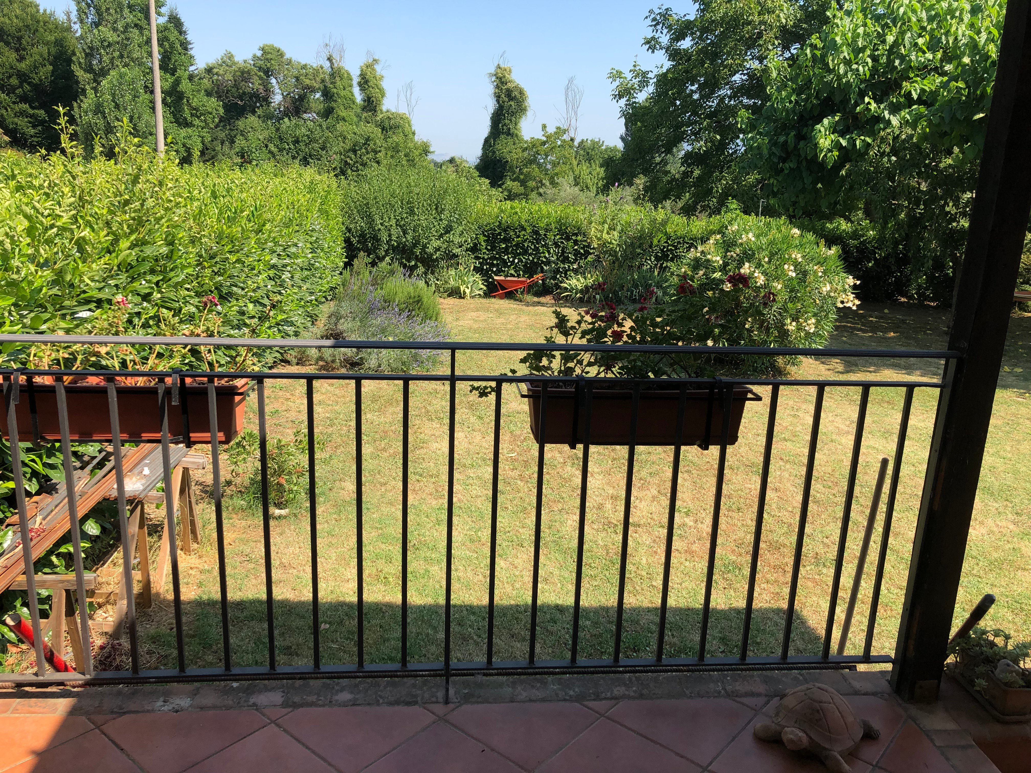 Olive Tree Hill B&B-酒店景观