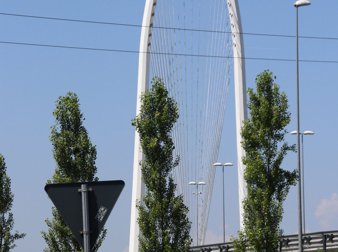 I 3 Ponti di Calatrava景点图片