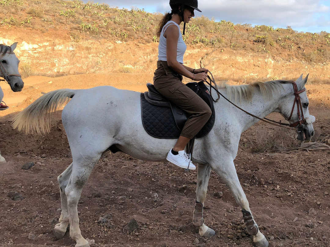 La Camella旅游攻略图片