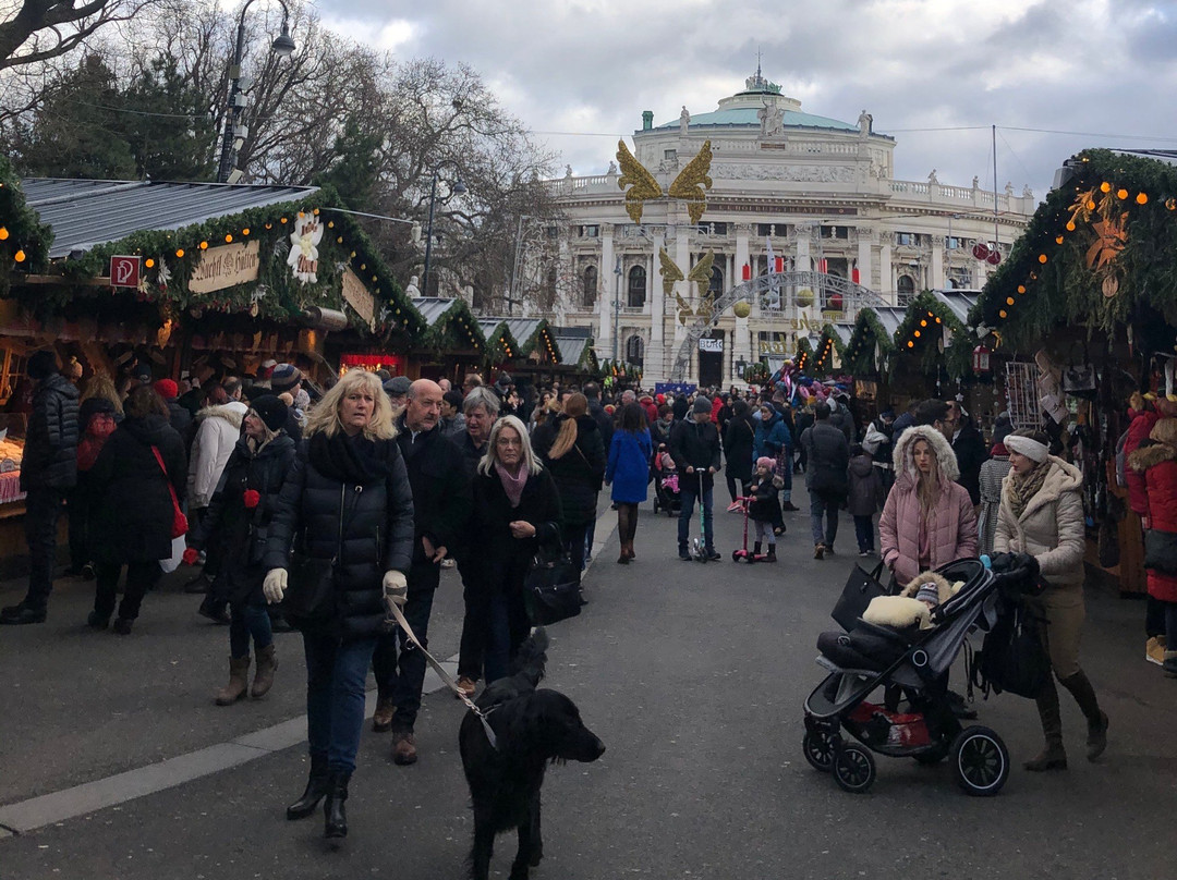 Christmas Market on Rathausplatz景点图片