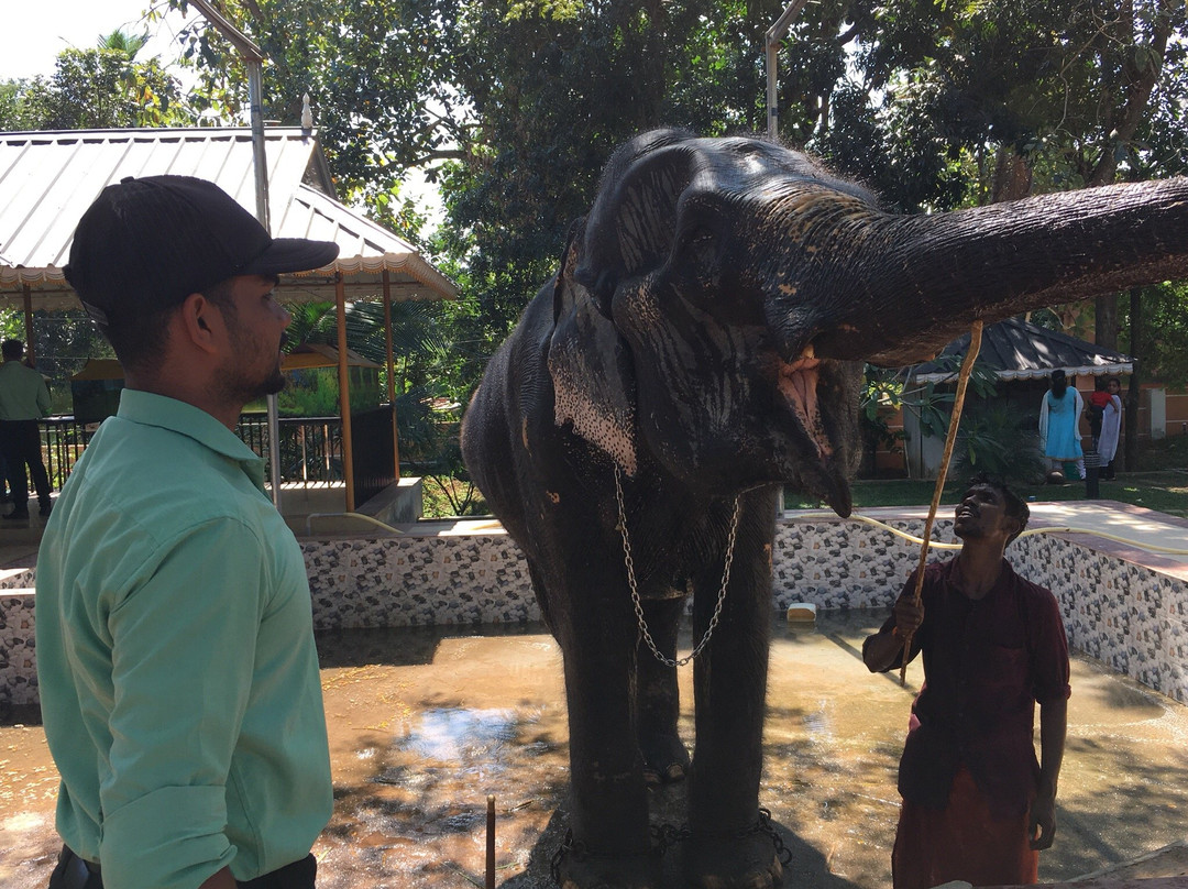 Kaveri Elephant Park-Puthenkulam必去景点