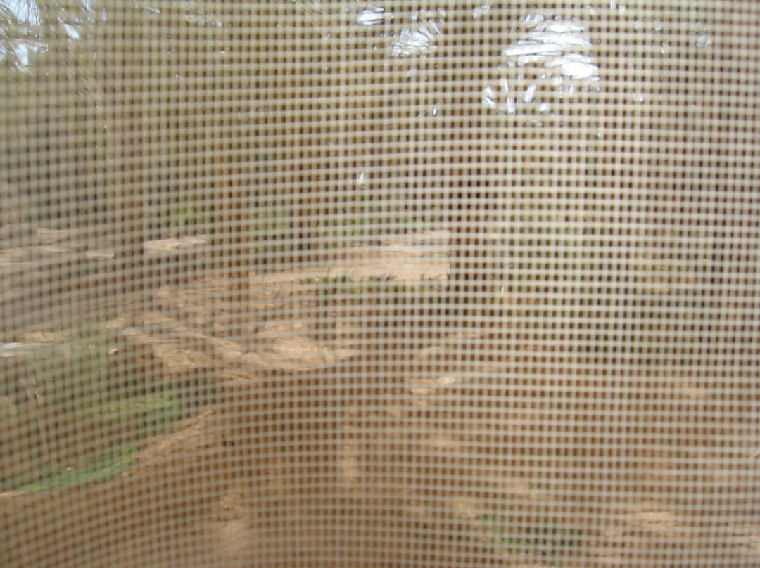 太阳棕榈酒店主图