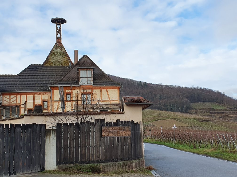 Domaine Binner Christian景点图片