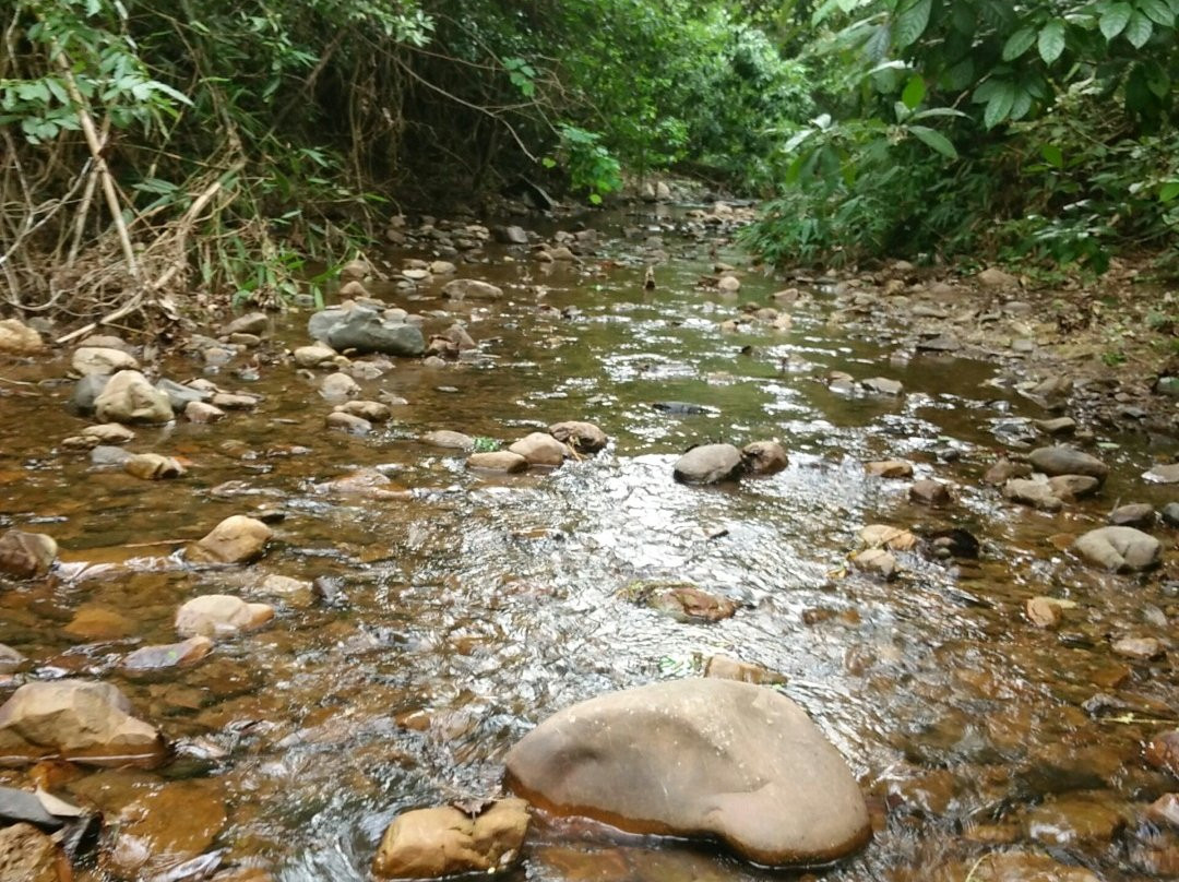 Kaeng Krachan National Park景点图片