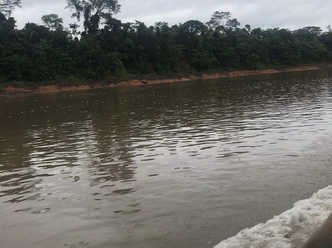 Tambopata River景点图片