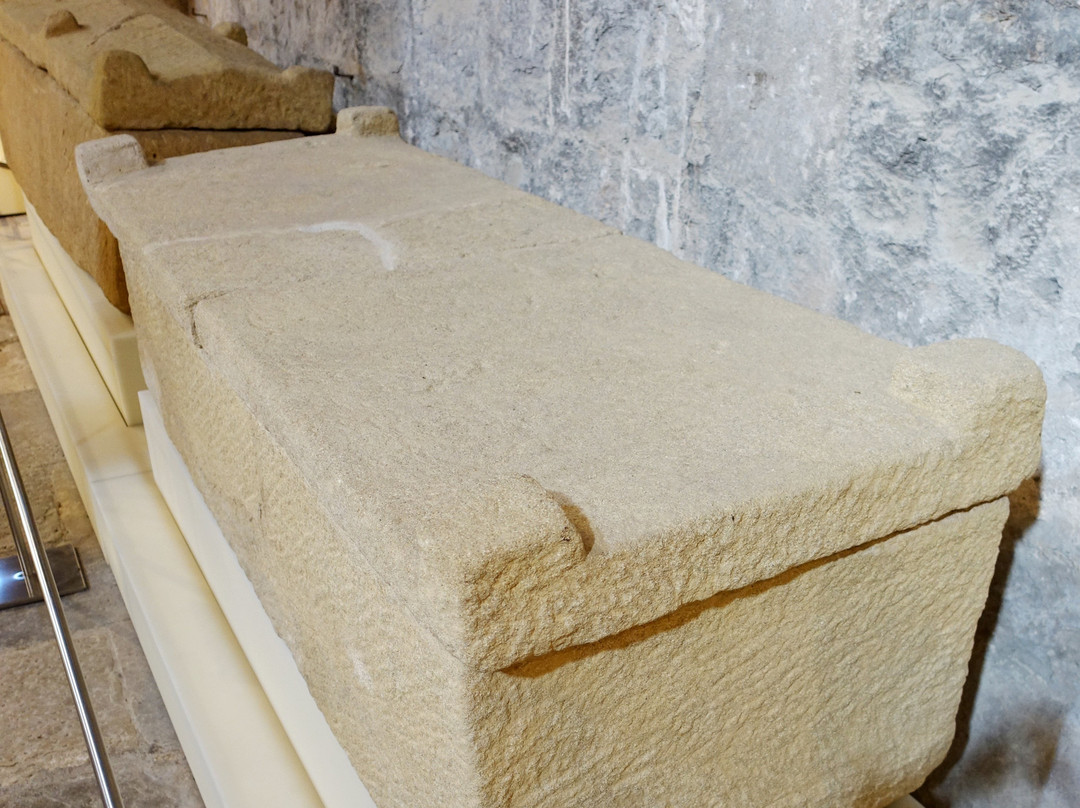 Museu d'Arqueologia de Catalunya景点图片