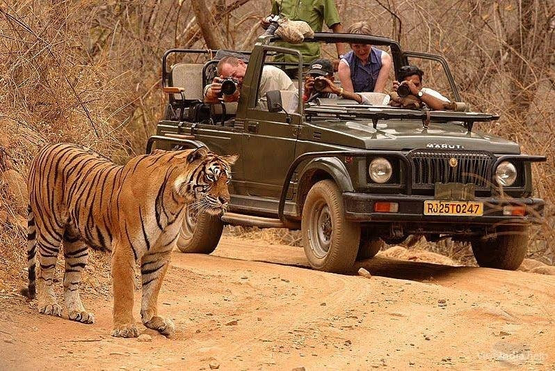 City Tours India景点图片