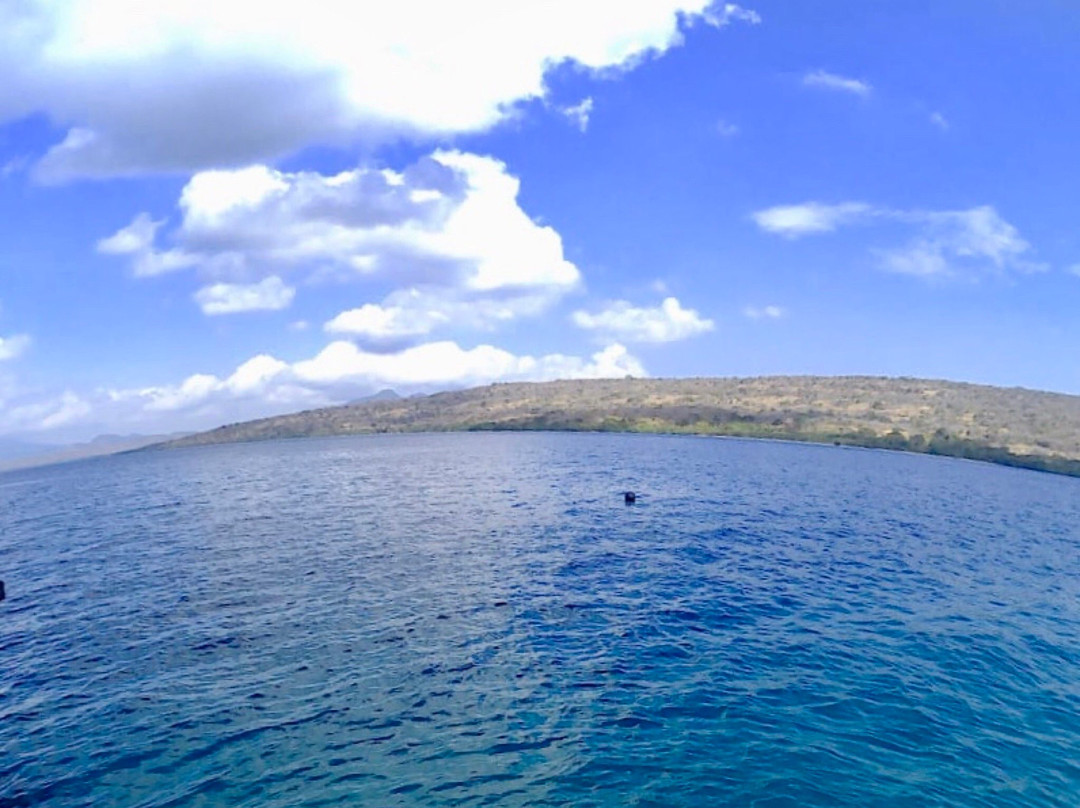 Snorkeling Menjangan Island景点图片