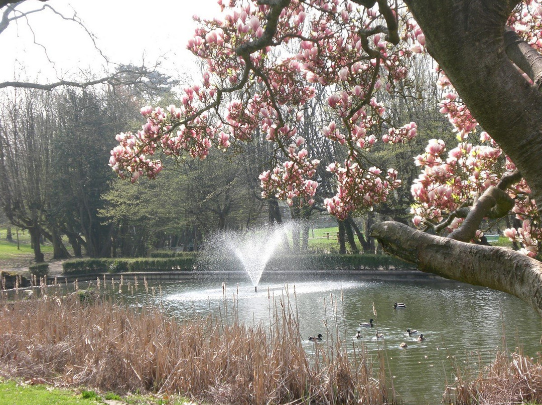 Parc de la Grande Maison景点图片